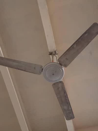 Ceiling fan