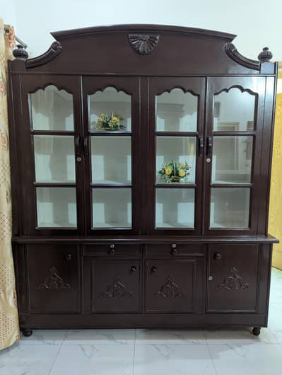 showcase brand new