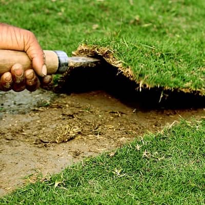 Fine Dhaka Grass | Natural Grass | Korean Grass | Artificial Grass
