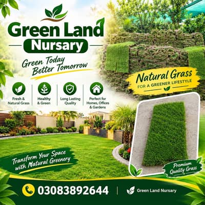 Natural Grass | Korean Grass | Fine Dhaka Grass | Artificial Grass