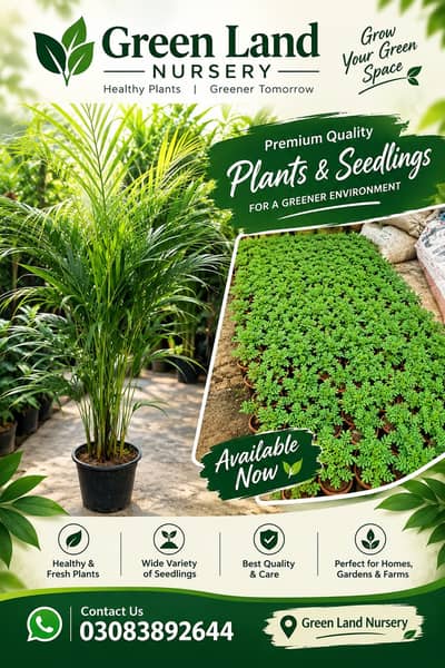 indoor plants - Flower Plants - plants and pots available