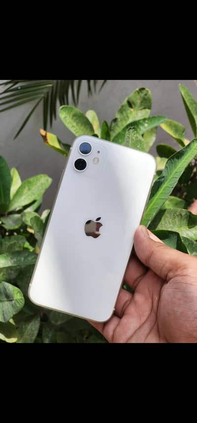 Apple iPhone 11 [Sheesha Piece) for Sale without any single scratch