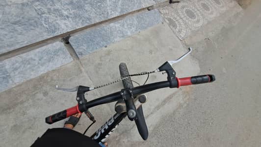 Phoniex Cycle for sale 24"
