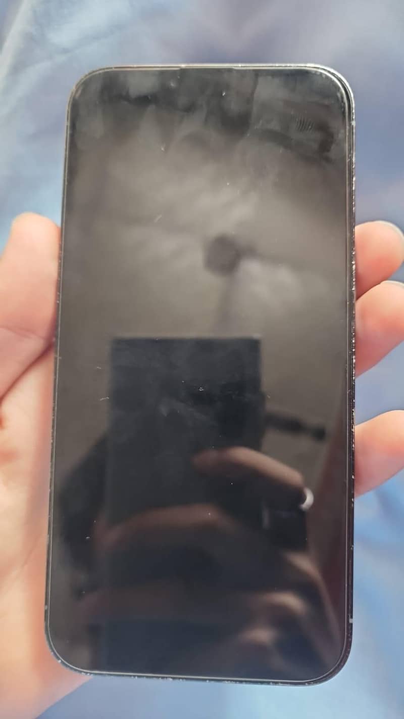 Apple iPhone 13 Pro Max 3