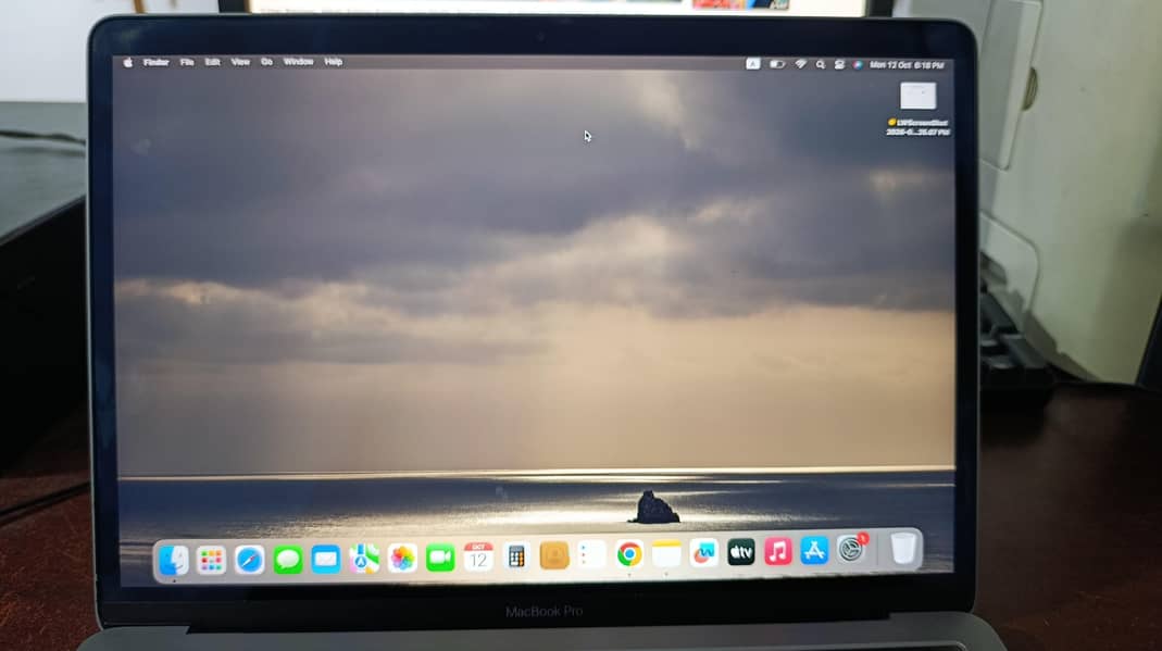 apple MacBook pro 4