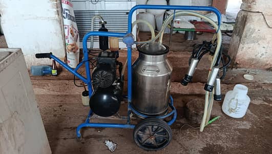 Dairy Solutions Turkish Milking Machine