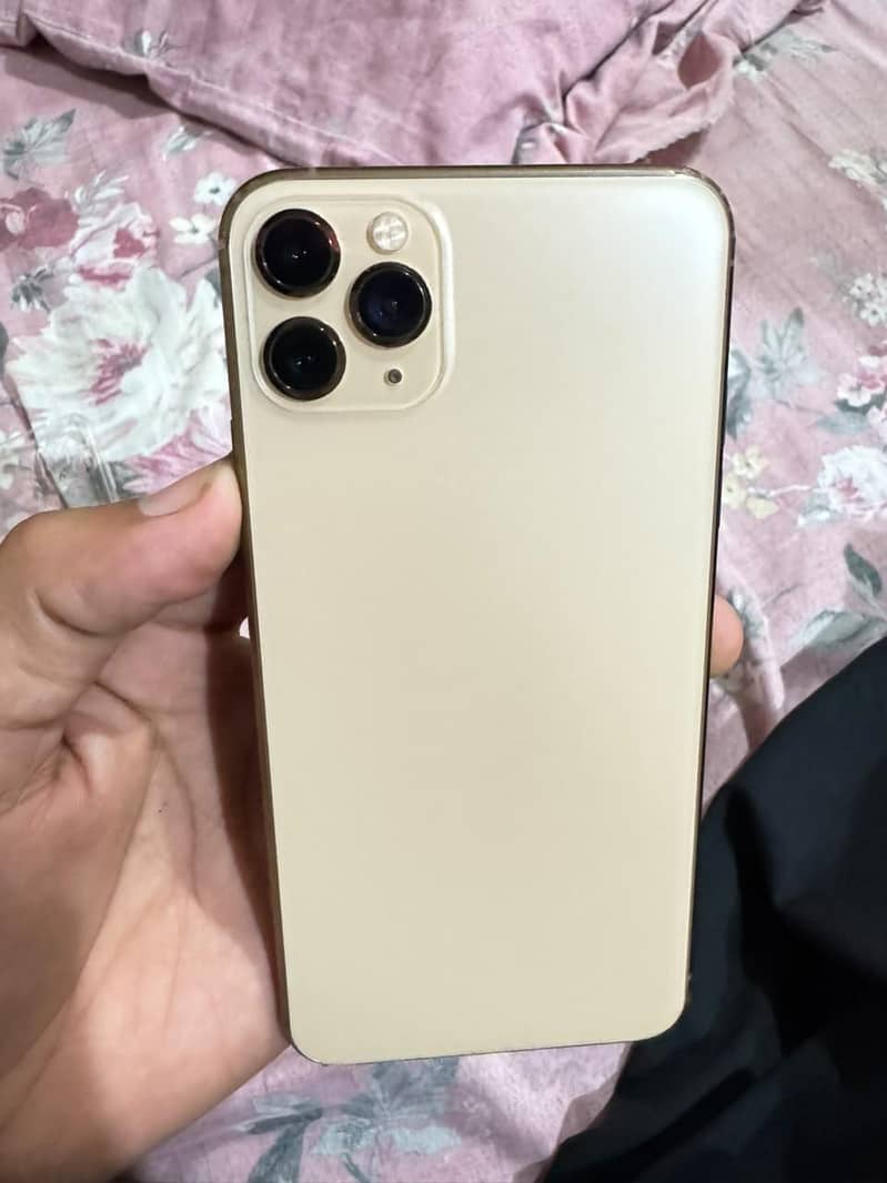 Apple iPhone 11 Pro Max 1