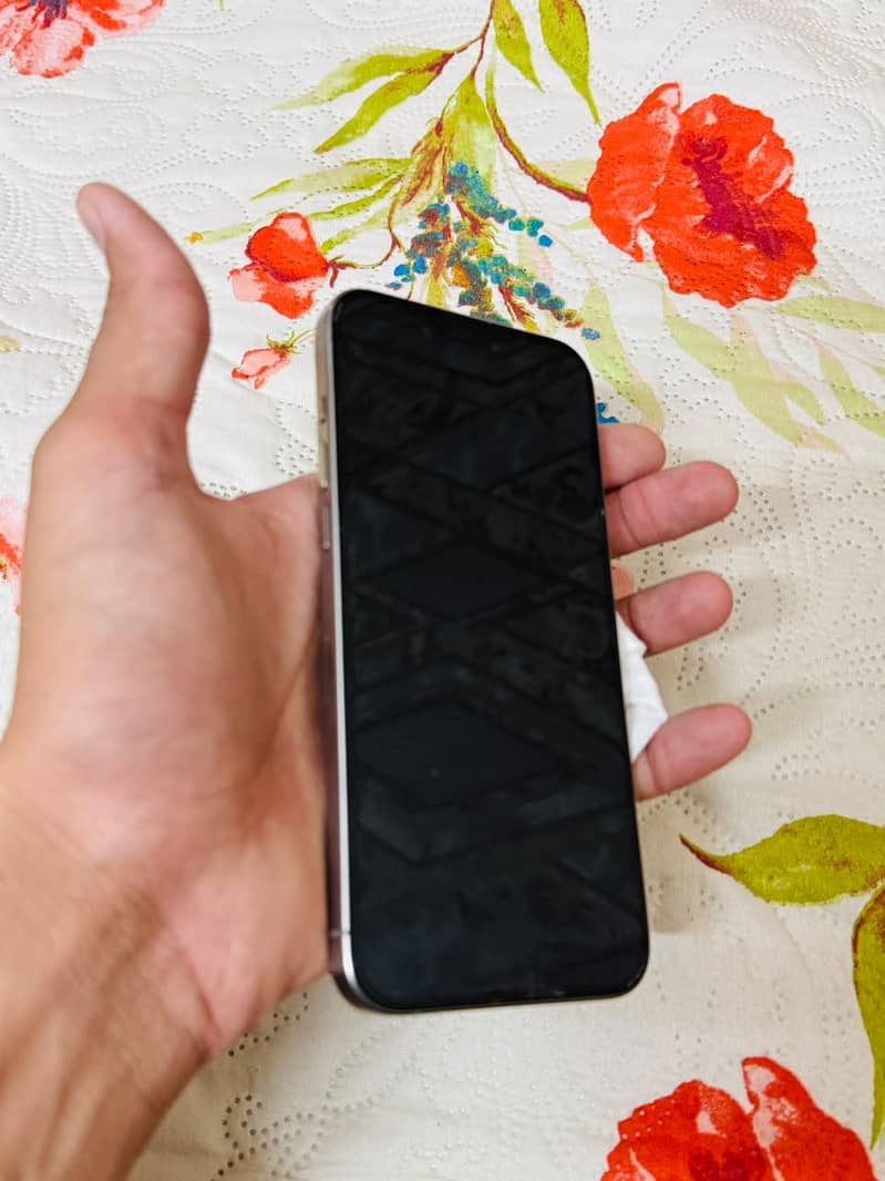 Apple iPhone 15 Pro Max 1