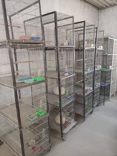 Cages for sale