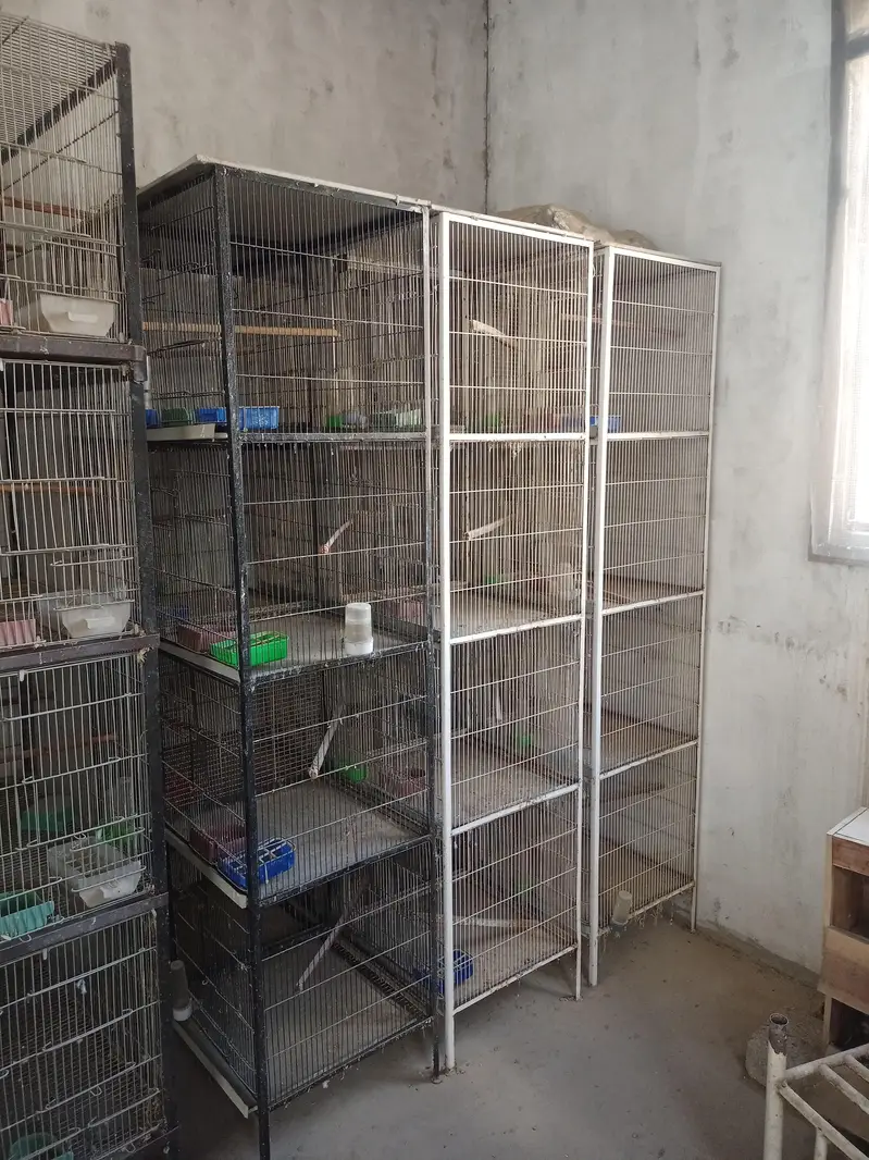 Cages for sale — photo 4