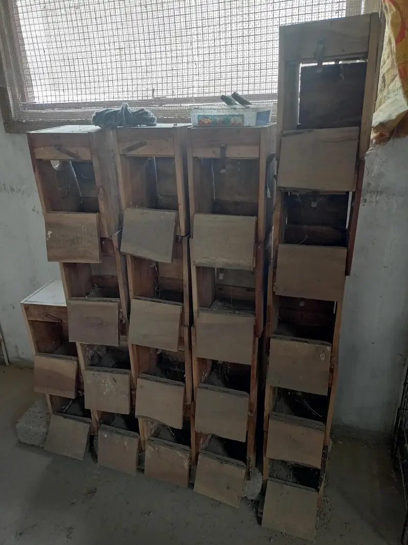 Cages for sale — photo 6