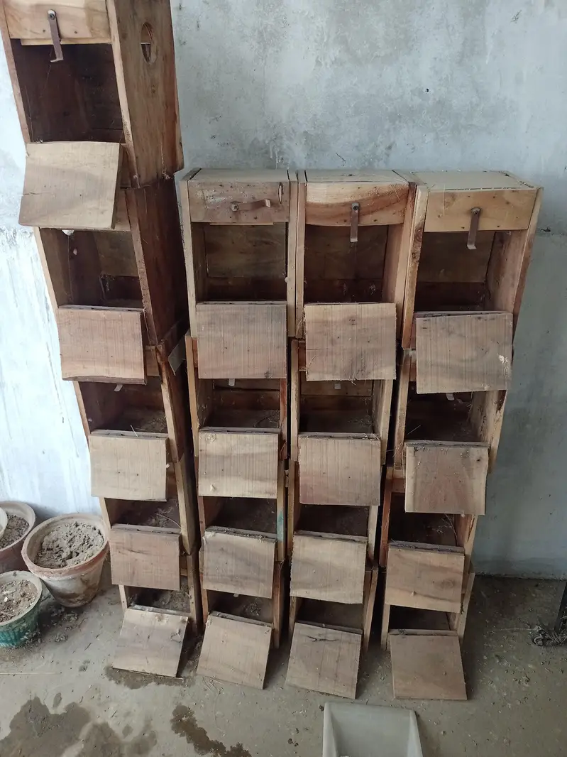 Cages for sale — photo 7