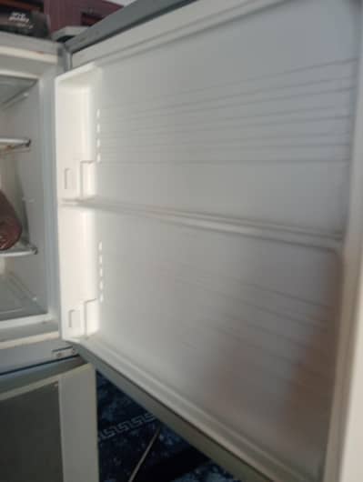 large size Fridge