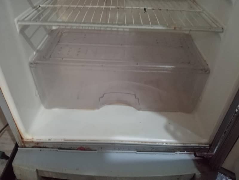 large size Fridge 5