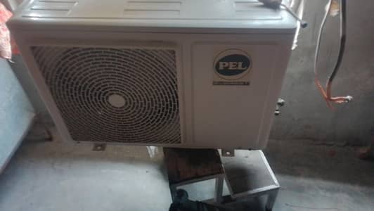 Pell ac