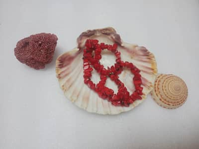ونٹیج 40 گرام اوریجنل لال مرجان (Natural Red Coral) نیکلس