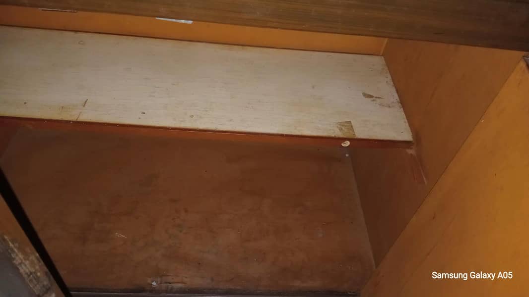 shelves 1