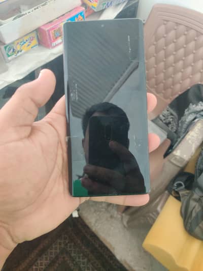Google Pixel 6 Pro Panel Broken