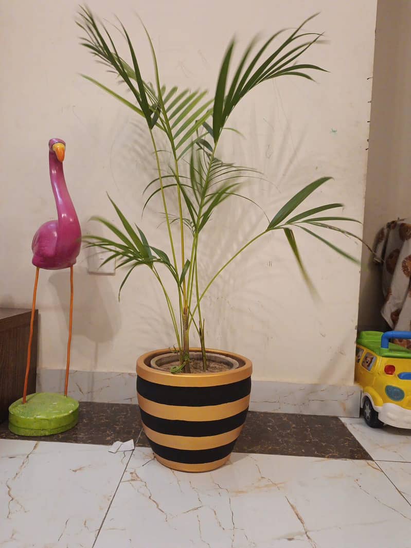 hand painted pots 4