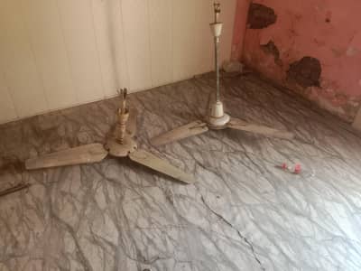 selling fan for sale