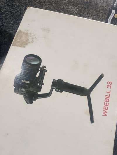 Weebill3s