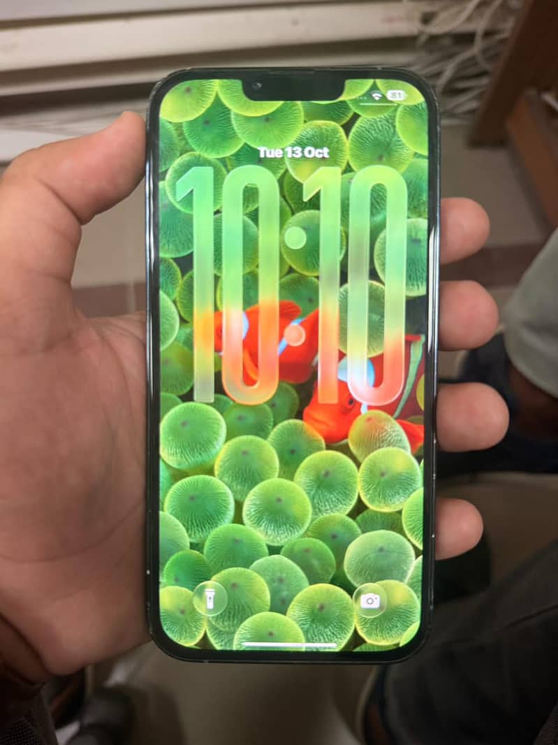 Apple iPhone 13 Pro Max 2