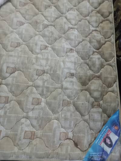 molty foam mattress madicated