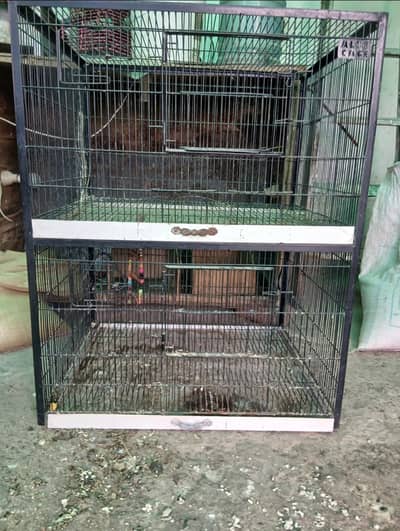 2 potions cage bird cage life care