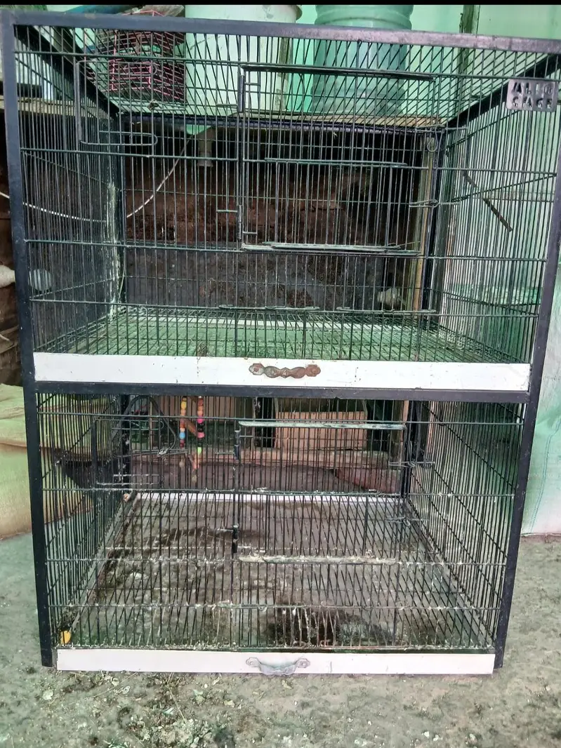 2 potions cage bird cage life care — photo 2