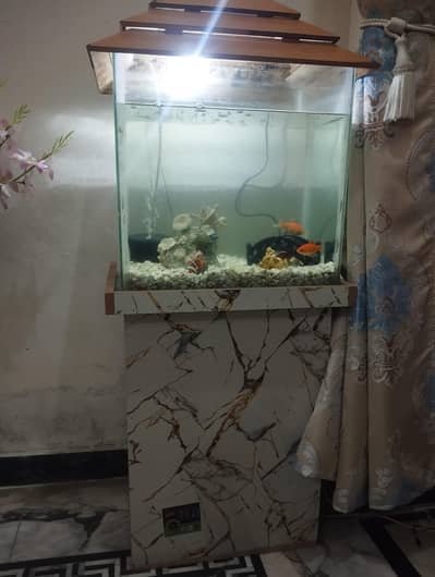 Aquarium for sale