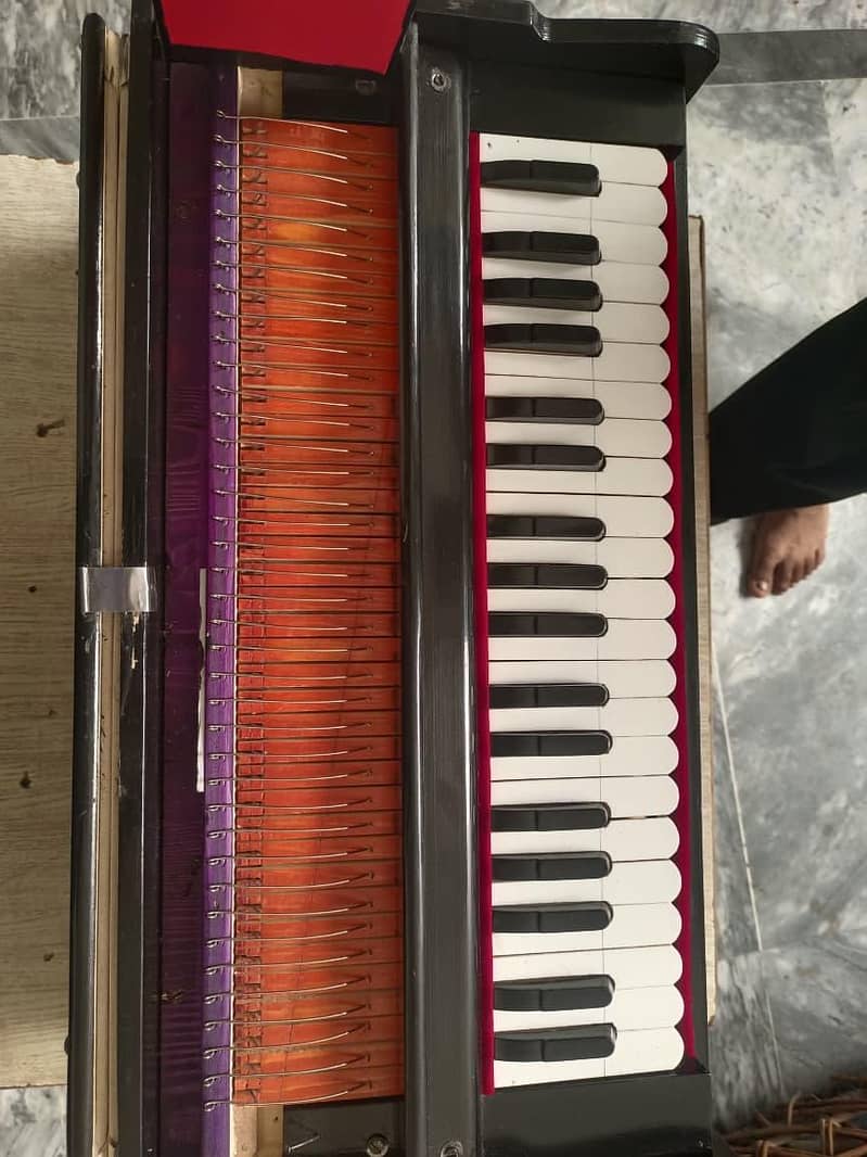 harmonium new condition 6