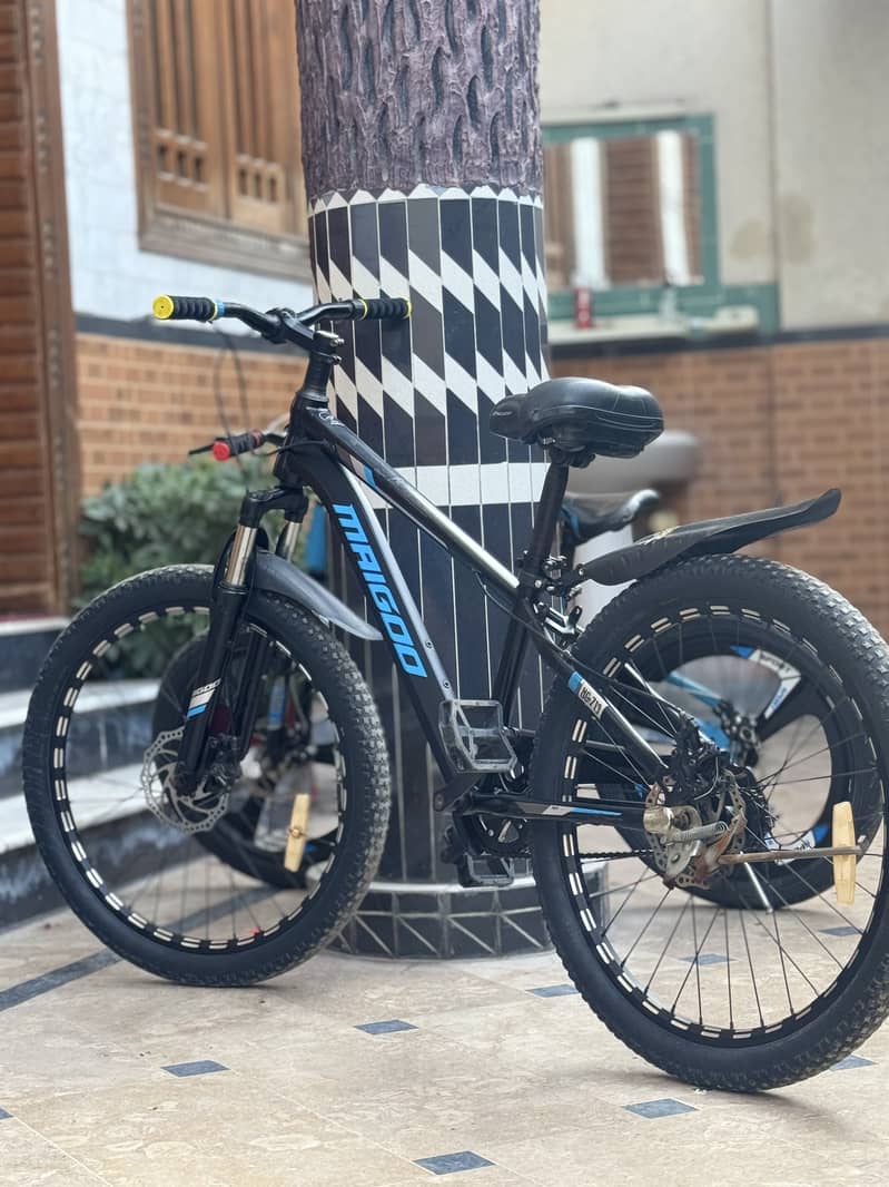 Bicycle 0