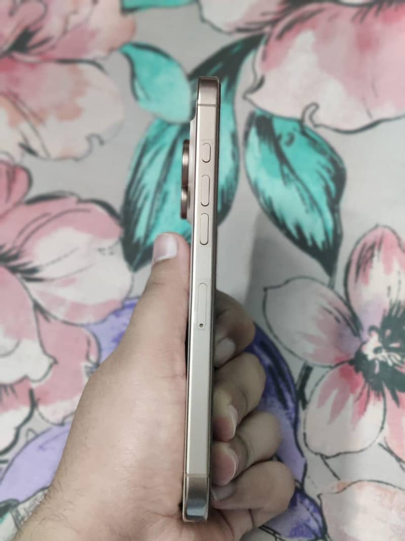 Apple iPhone 16 Pro Max 1