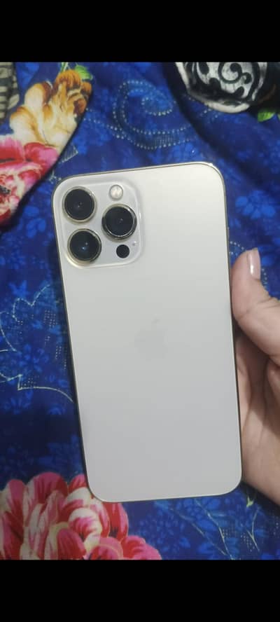 Apple iPhone 13 Pro Max