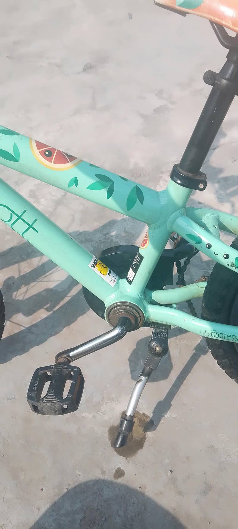 Scott pro 2