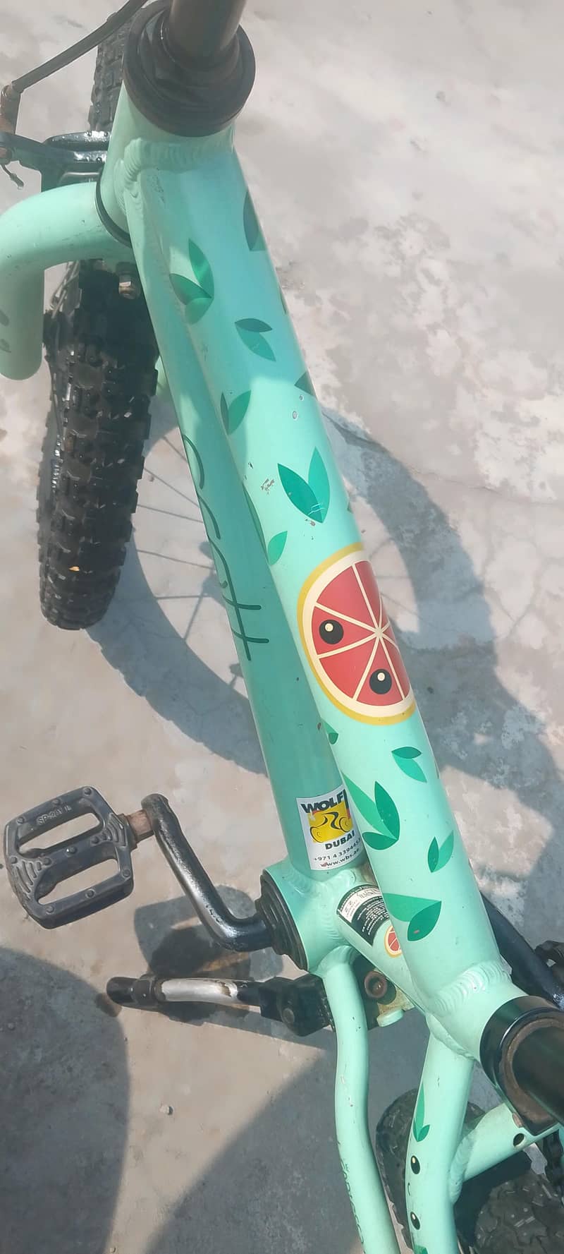 Scott pro 4
