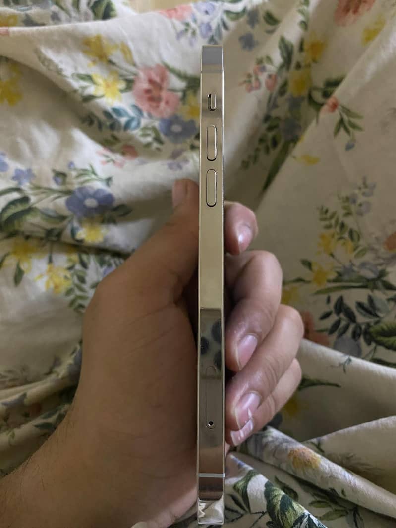 Apple iPhone 12 Pro 3