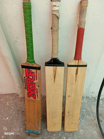 cricket Bat