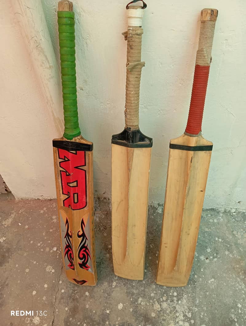 cricket Bat 1
