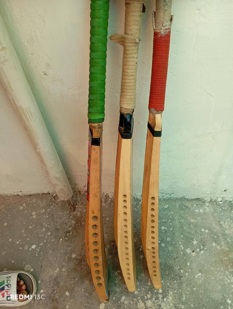 cricket Bat 2