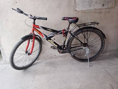 Safari cycle