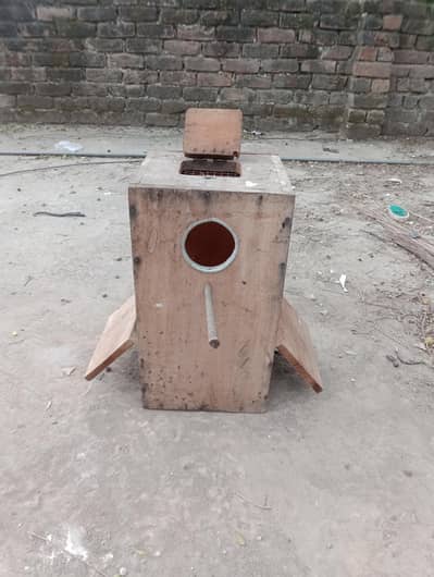 Pakistani Parrot Wooden Doli – Kikar Wood