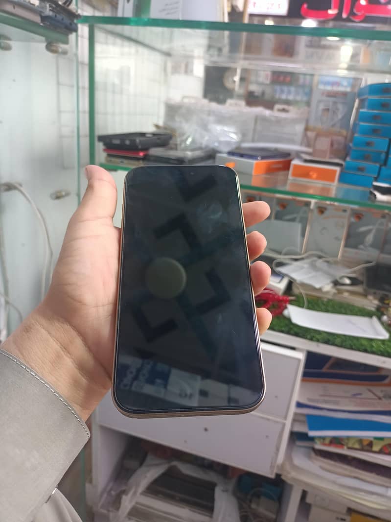 Apple iPhone 16 Pro Max 1