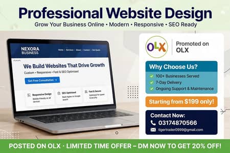 Professional Business Website Developer
