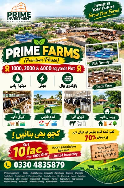 Cattle farm land