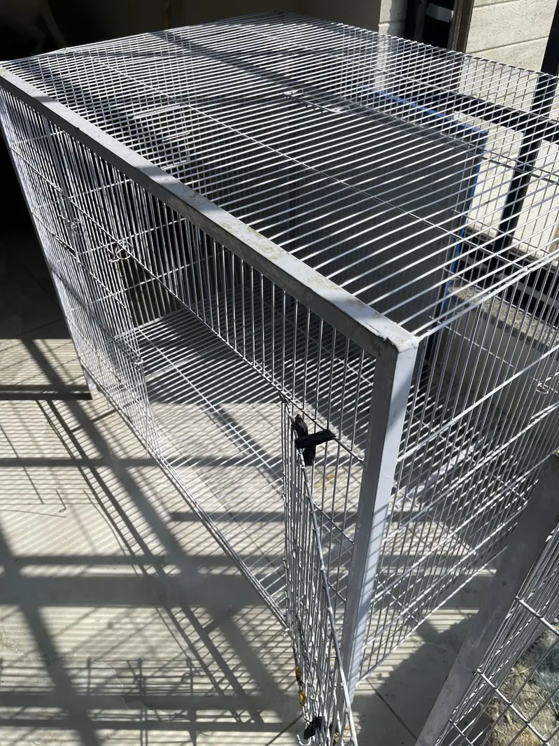 Cage Hen and birds larg size cages parrots — photo 2