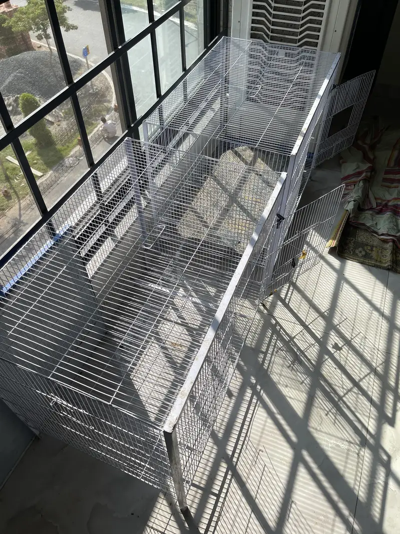 Cage Hen and birds larg size cages parrots — photo 3
