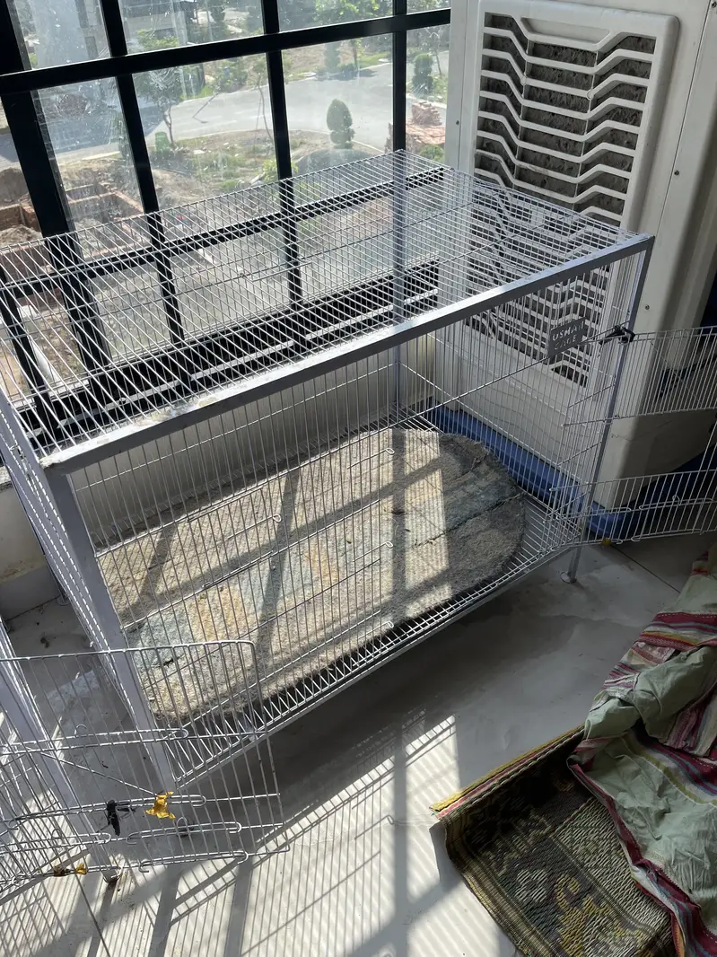Cage Hen and birds larg size cages parrots — photo 5