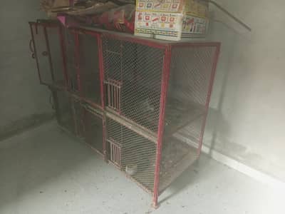 **bird cage / iron cage / hens cage / pigeon / cat / parrot pinjra