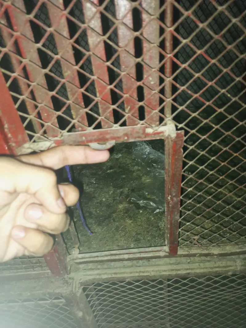 **bird cage / iron cage / hens cage / pigeon / cat / parrot pinjra — photo 2